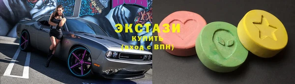 ECSTASY Богородицк